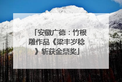 安徽广德：竹根雕作品《梁丰岁稔》斩获金鼎奖