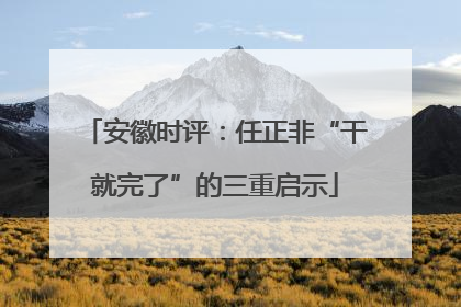 安徽时评：任正非“干就完了”的三重启示