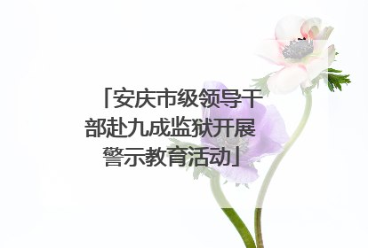 安庆市级领导干部赴九成监狱开展警示教育活动