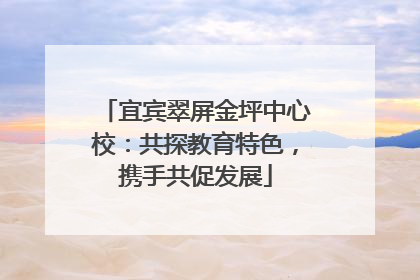 宜宾翠屏金坪中心校：共探教育特色，携手共促发展