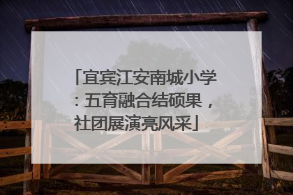 宜宾江安南城小学：五育融合结硕果，社团展演亮风采