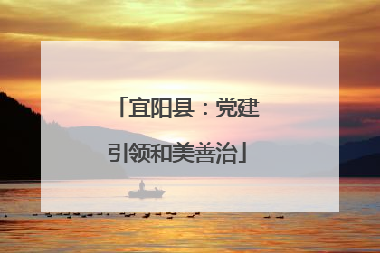 宜阳县：党建引领和美善治