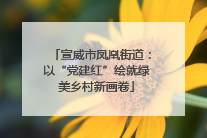 宣威市凤凰街道：以“党建红”绘就绿美乡村新画卷