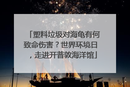 塑料垃圾对海龟有何致命伤害？世界环境日，走进开普敦海洋馆