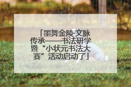 墨舞金陵·文脉传承——书法研学暨“小状元书法大赛”活动启动了