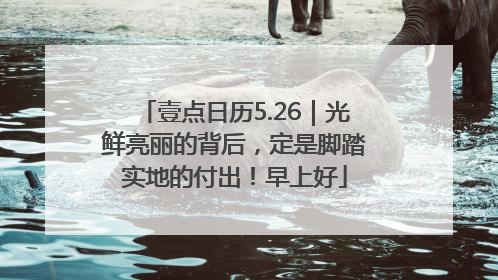 壹点日历5.26｜光鲜亮丽的背后，定是脚踏实地的付出！早上好