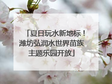 夏日玩水新地标！潍坊弘润水世界苗族主题乐园开放