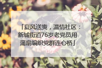 夏风送爽，温情社区：新城街道76岁老党员用蒲扇编织党群连心桥
