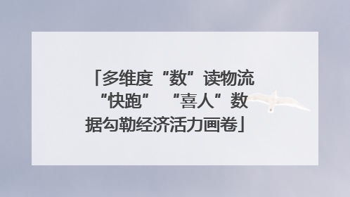 多维度“数”读物流“快跑” “喜人”数据勾勒经济活力画卷