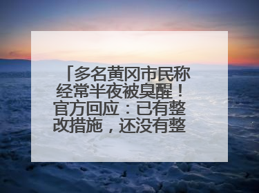 多名黄冈市民称经常半夜被臭醒！官方回应：已有整改措施，还没有整改情况