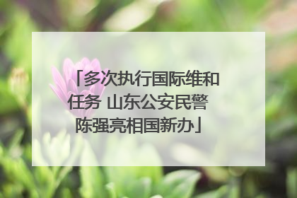多次执行国际维和任务 山东公安民警陈强亮相国新办