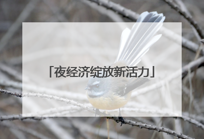 夜经济绽放新活力