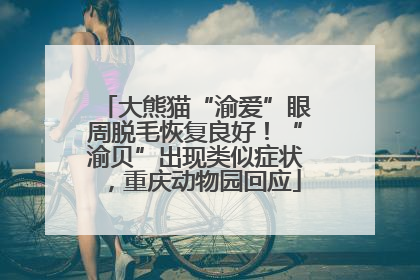 大熊猫“渝爱”眼周脱毛恢复良好！“渝贝”出现类似症状，重庆动物园回应