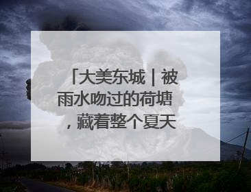 大美东城｜被雨水吻过的荷塘，藏着整个夏天的温柔