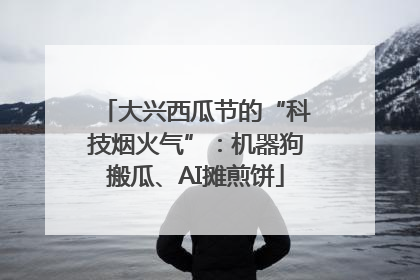大兴西瓜节的“科技烟火气”：机器狗搬瓜、AI摊煎饼