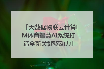 大数据物联云计算IM体育智慧AI系统打造全新关键驱动力