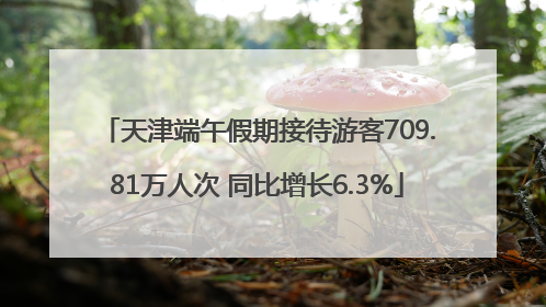 天津端午假期接待游客709.81万人次 同比增长6.3%