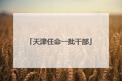 天津任命一批干部