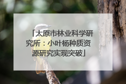 太原市林业科学研究所：小叶杨种质资源研究实现突破