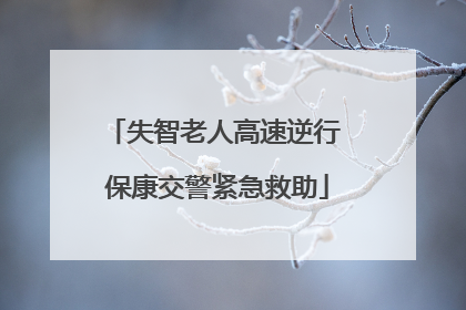 失智老人高速逆行 保康交警紧急救助