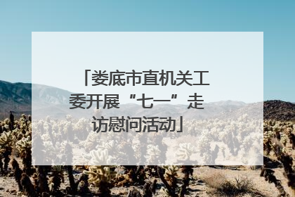 娄底市直机关工委开展“七一”走访慰问活动