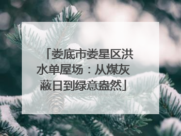 娄底市娄星区洪水单屋场：从煤灰蔽日到绿意盎然