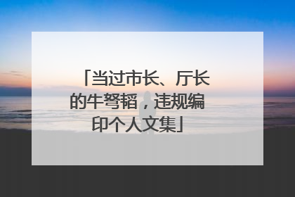 当过市长、厅长的牛弩韬，违规编印个人文集