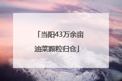 当阳43万余亩油菜颗粒归仓