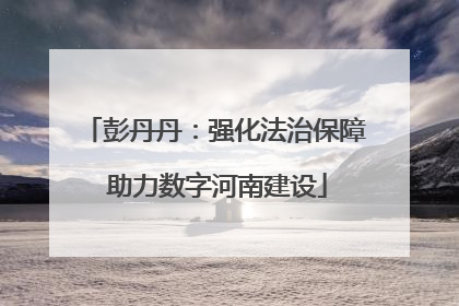 彭丹丹：强化法治保障 助力数字河南建设