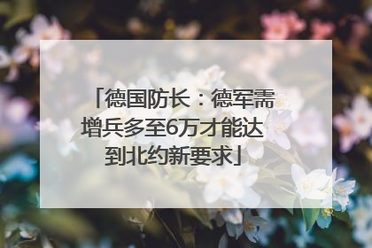 德国防长：德军需增兵多至6万才能达到北约新要求