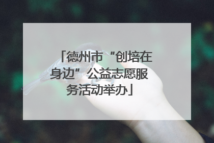 德州市“创培在身边”公益志愿服务活动举办