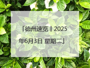 德州速览丨2025年6月3日 星期二