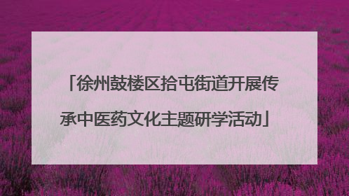 徐州鼓楼区拾屯街道开展传承中医药文化主题研学活动