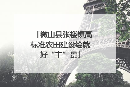 微山县张楼镇高标准农田建设绘就好“丰”景
