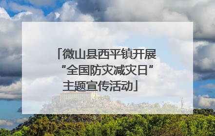微山县西平镇开展“全国防灾减灾日”主题宣传活动