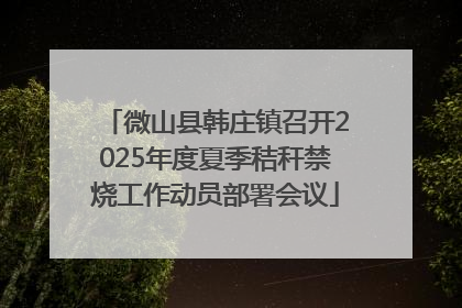 微山县韩庄镇召开2025年度夏季秸秆禁烧工作动员部署会议