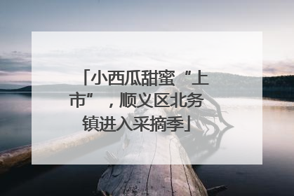 小西瓜甜蜜“上市”，顺义区北务镇进入采摘季