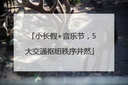 小长假+音乐节，5大交通枢纽秩序井然