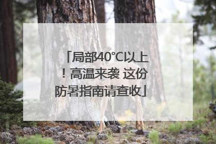 局部40℃以上！高温来袭 这份防暑指南请查收
