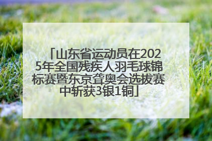 山东省运动员在2025年全国残疾人羽毛球锦标赛暨东京聋奥会选拔赛中斩获3银1铜