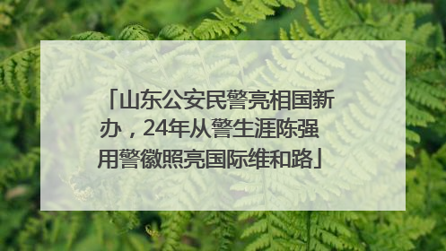 山东公安民警亮相国新办，24年从警生涯陈强用警徽照亮国际维和路