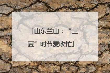 山东兰山：“三夏”时节麦收忙