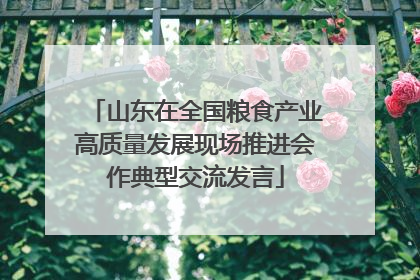 山东在全国粮食产业高质量发展现场推进会作典型交流发言