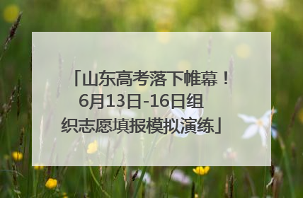 山东高考落下帷幕！6月13日-16日组织志愿填报模拟演练