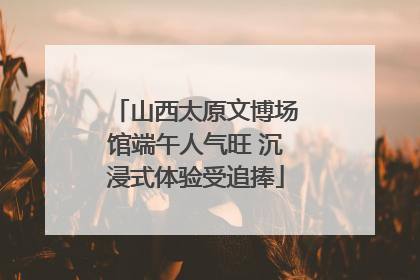 山西太原文博场馆端午人气旺 沉浸式体验受追捧