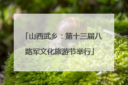 山西武乡：第十三届八路军文化旅游节举行