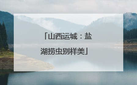 山西运城：盐湖捞虫别样美