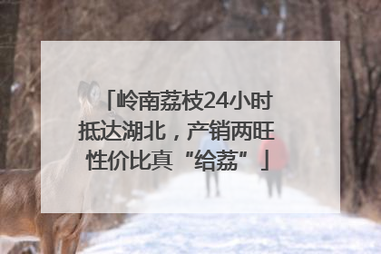 岭南荔枝24小时抵达湖北，产销两旺性价比真“给荔”