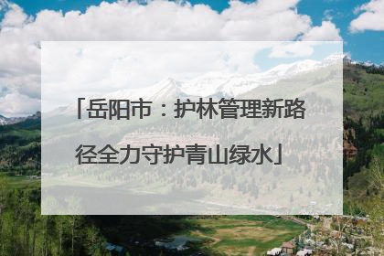 岳阳市：护林管理新路径全力守护青山绿水