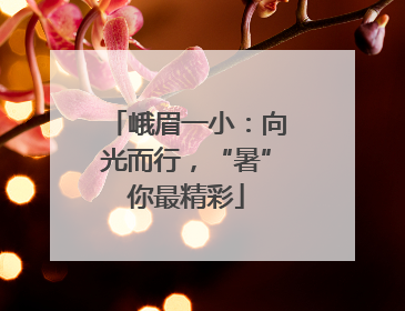 峨眉一小：向光而行，“暑”你最精彩